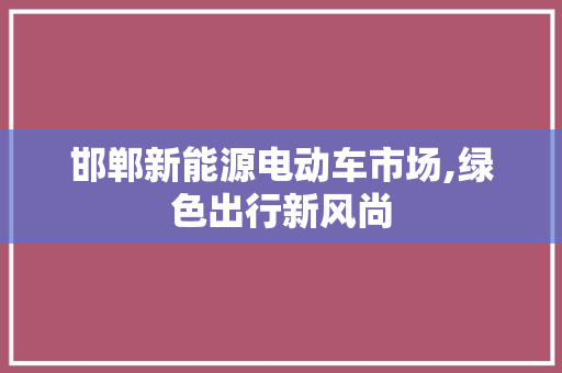 邯郸新能源电动车市场,绿色出行新风尚