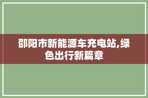 邵阳市新能源车充电站,绿色出行新篇章