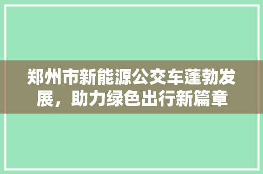 郑州市新能源公交车蓬勃发展，助力绿色出行新篇章