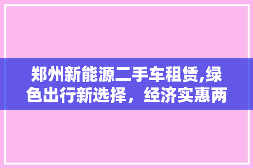 郑州新能源二手车租赁,绿色出行新选择，经济实惠两不误