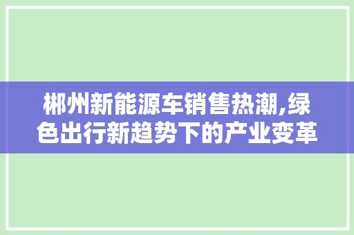 郴州新能源车销售热潮,绿色出行新趋势下的产业变革