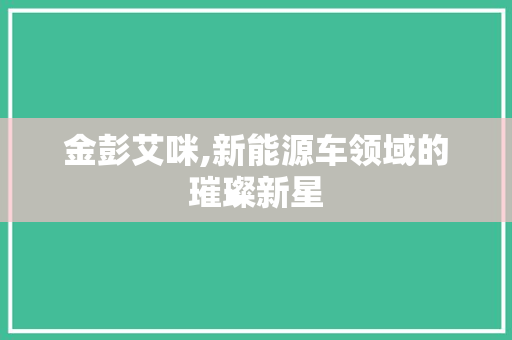 金彭艾咪,新能源车领域的璀璨新星