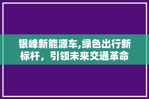 银峰新能源车,绿色出行新标杆，引领未来交通革命
