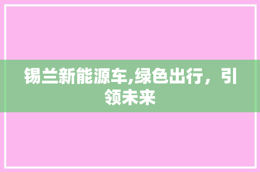 锡兰新能源车,绿色出行，引领未来