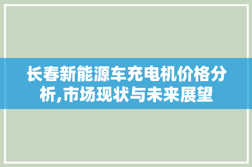 长春新能源车充电机价格分析,市场现状与未来展望