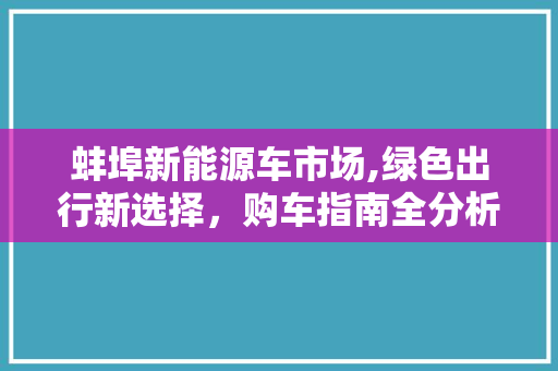 蚌埠新能源车市场,绿色出行新选择，购车指南全分析