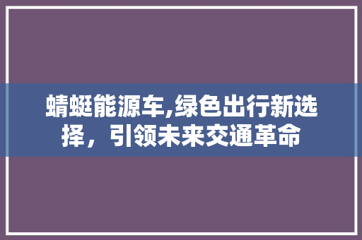 蜻蜓能源车,绿色出行新选择，引领未来交通革命