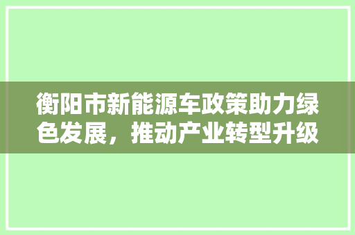 衡阳市新能源车政策助力绿色发展，推动产业转型升级