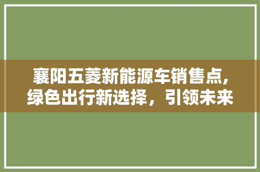 襄阳五菱新能源车销售点,绿色出行新选择，引领未来出行潮流
