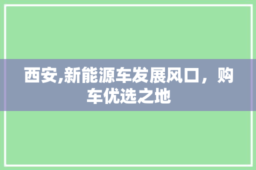 西安,新能源车发展风口，购车优选之地