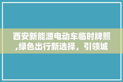 西安新能源电动车临时牌照,绿色出行新选择，引领城市可持续发展