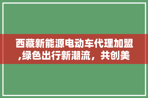 西藏新能源电动车代理加盟,绿色出行新潮流，共创美好未来