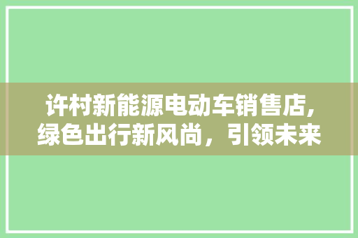 许村新能源电动车销售店,绿色出行新风尚，引领未来出行潮流
