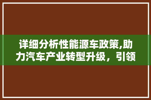 详细分析性能源车政策,助力汽车产业转型升级，引领绿色出行新风尚