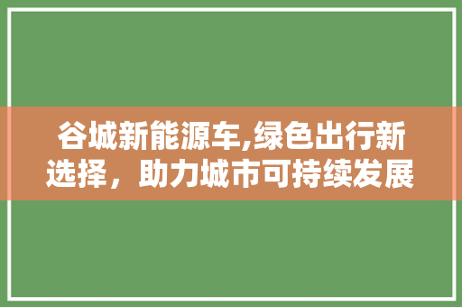 谷城新能源车,绿色出行新选择，助力城市可持续发展