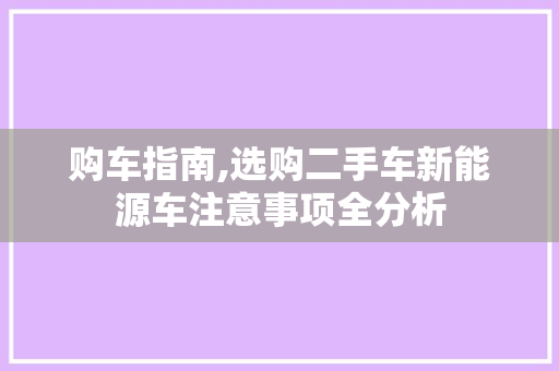购车指南,选购二手车新能源车注意事项全分析