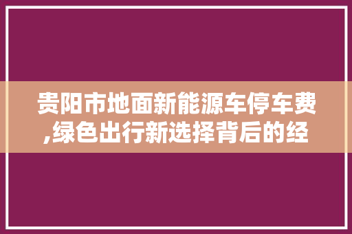 贵阳市地面新能源车停车费,绿色出行新选择背后的经济考量