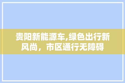 贵阳新能源车,绿色出行新风尚，市区通行无障碍