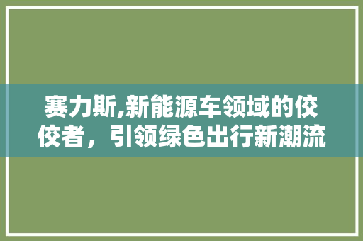 赛力斯,新能源车领域的佼佼者，引领绿色出行新潮流