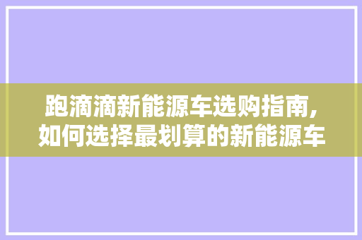 跑滴滴新能源车选购指南,如何选择最划算的新能源车型