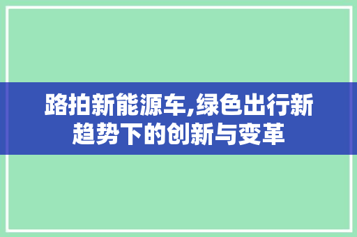 路拍新能源车,绿色出行新趋势下的创新与变革