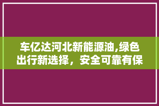 车亿达河北新能源油,绿色出行新选择，安全可靠有保障