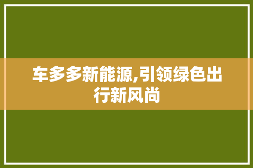 车多多新能源,引领绿色出行新风尚