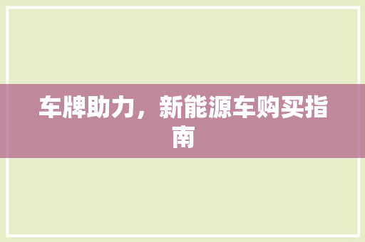 车牌助力，新能源车购买指南