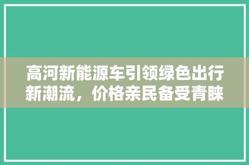高河新能源车引领绿色出行新潮流，价格亲民备受青睐