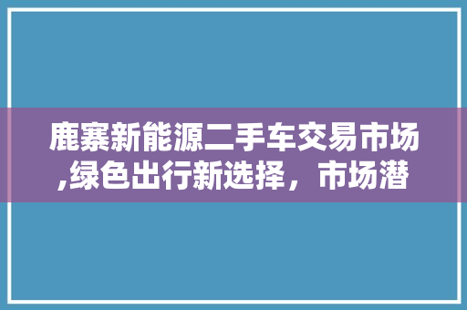 鹿寨新能源二手车交易市场,绿色出行新选择，市场潜力无限