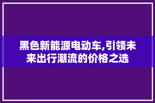 黑色新能源电动车,引领未来出行潮流的价格之选