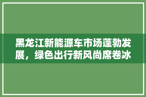 黑龙江新能源车市场蓬勃发展，绿色出行新风尚席卷冰城