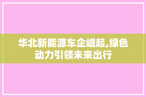 华北新能源车企崛起,绿色动力引领未来出行