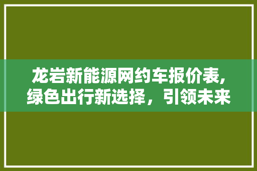 龙岩新能源网约车报价表,绿色出行新选择，引领未来出行潮流