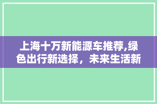 上海十万新能源车推荐,绿色出行新选择，未来生活新体验