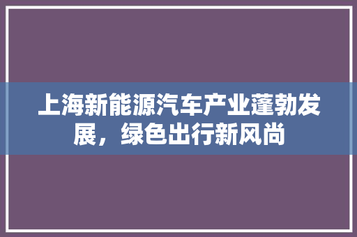 上海新能源汽车产业蓬勃发展，绿色出行新风尚
