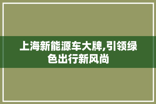 上海新能源车大牌,引领绿色出行新风尚
