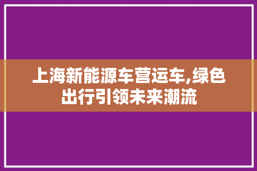 上海新能源车营运车,绿色出行引领未来潮流