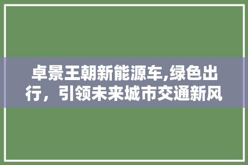 卓景王朝新能源车,绿色出行，引领未来城市交通新风尚