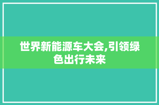 世界新能源车大会,引领绿色出行未来