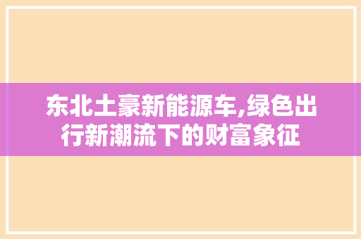 东北土豪新能源车,绿色出行新潮流下的财富象征