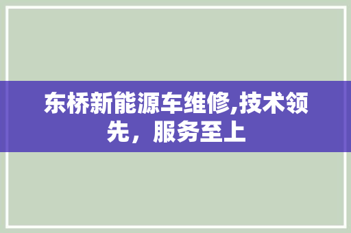 东桥新能源车维修,技术领先，服务至上