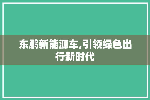 东鹏新能源车,引领绿色出行新时代