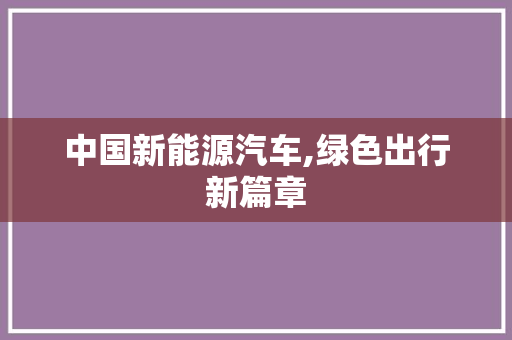 中国新能源汽车,绿色出行新篇章