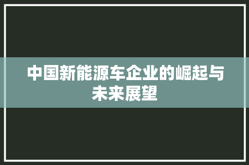 中国新能源车企业的崛起与未来展望