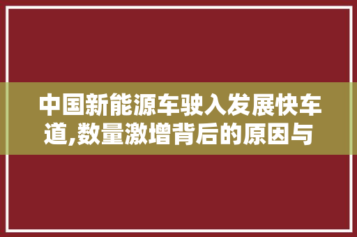 中国新能源车驶入发展快车道,数量激增背后的原因与展望