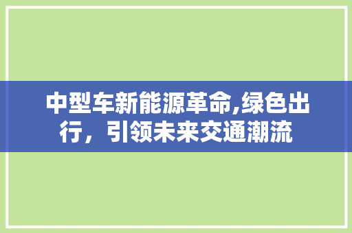 中型车新能源革命,绿色出行，引领未来交通潮流