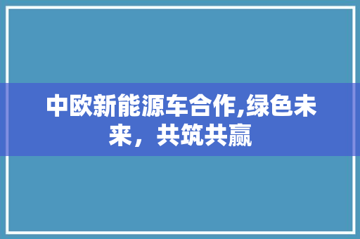 中欧新能源车合作,绿色未来，共筑共赢
