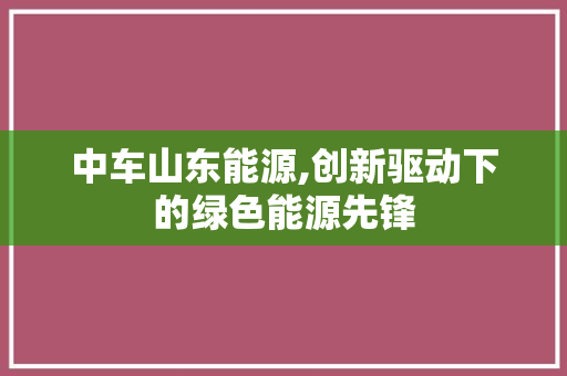 中车山东能源,创新驱动下的绿色能源先锋