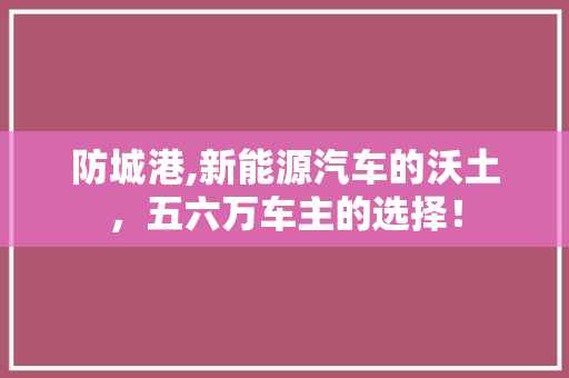 防城港,新能源汽车的沃土，五六万车主的选择！